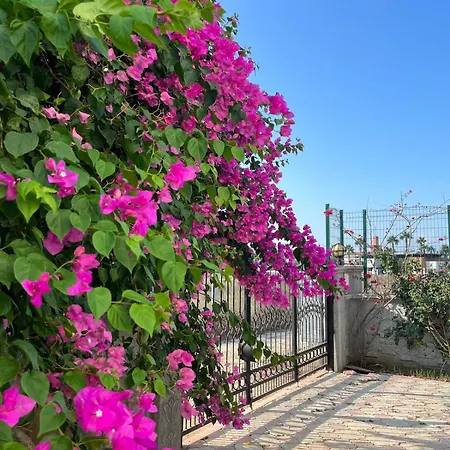 Kardelen Villa *